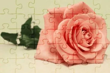 פאזל של rosas