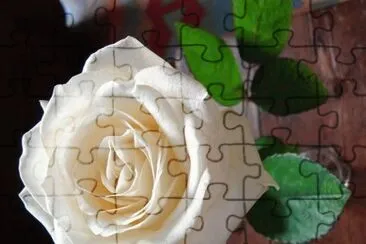 פאזל של rosas
