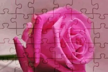 פאזל של rosas