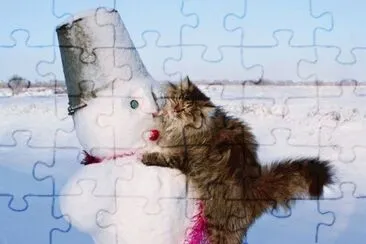 curiositÃ  jigsaw puzzle