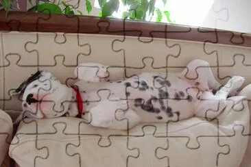 Dorminhoco jigsaw puzzle