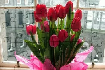tulipas