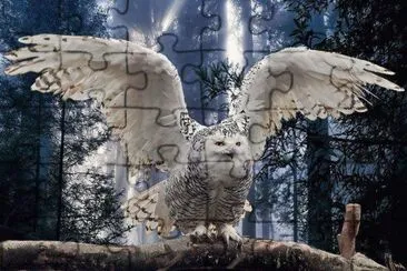aguias jigsaw puzzle