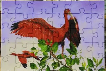 pasaros jigsaw puzzle