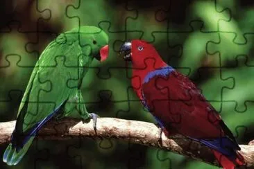 pasaros jigsaw puzzle