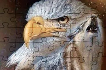 aguias jigsaw puzzle