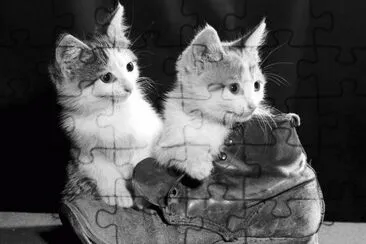 gato de botas