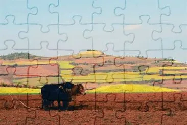 פאזל של paisagens