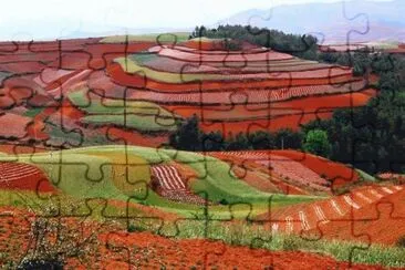 פאזל של imagens