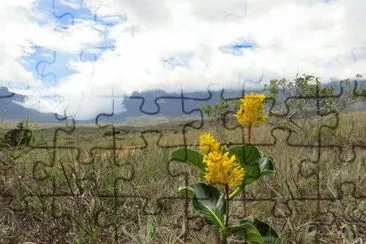  jigsaw puzzle