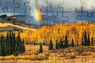 jigsaw puzzle