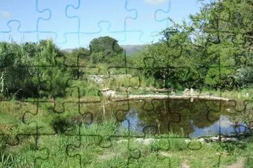  jigsaw puzzle