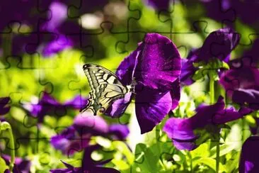Mariposa en flores purpura jigsaw puzzle