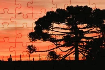 pousada jigsaw puzzle