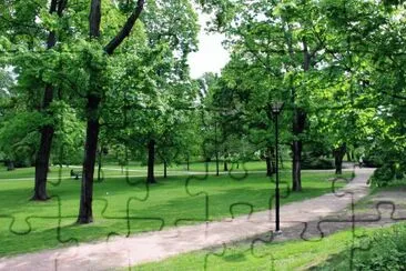 central park jigsaw puzzle