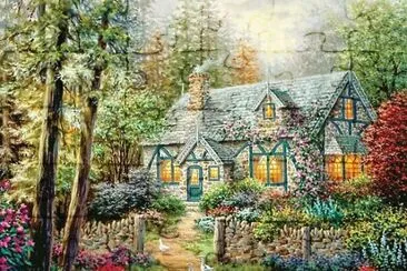 ss509 jigsaw puzzle