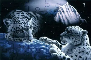 jjjjj556hgf666gg65re4444 jigsaw puzzle