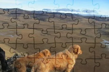 observadores jigsaw puzzle