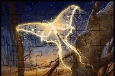 imagens