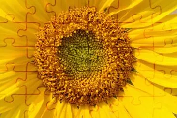 flor