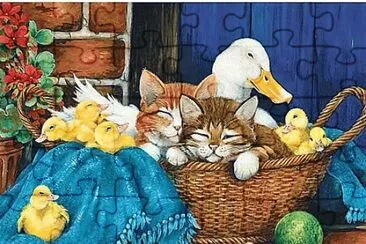 ss548 jigsaw puzzle