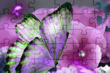 borboleta jigsaw puzzle