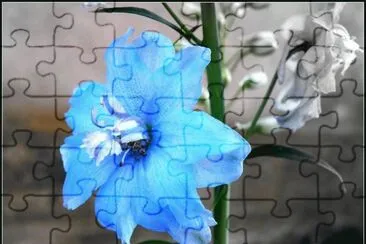 flores jigsaw puzzle