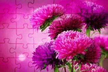 flores jigsaw puzzle