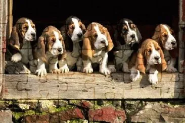 where is mom#196?