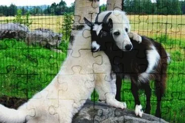 BFF n5 jigsaw puzzle