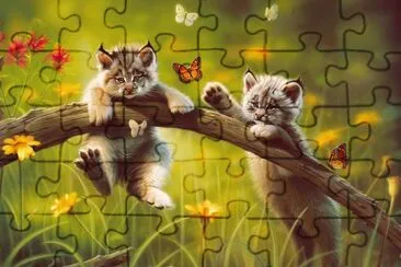 gatos