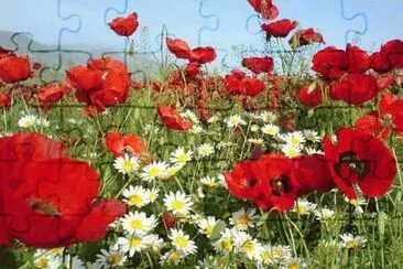 pinturas jigsaw puzzle