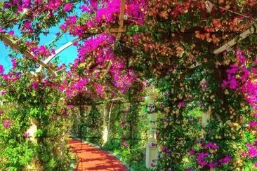 725 jigsaw puzzle