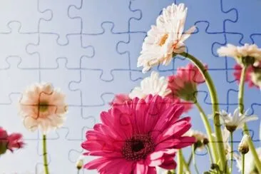 Margaridas jigsaw puzzle