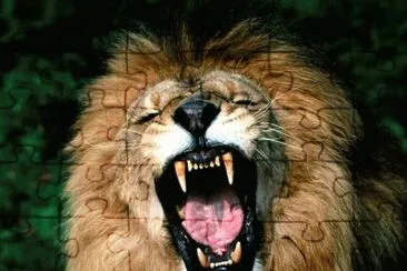 ANIMALES