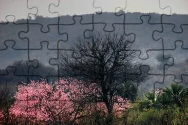 En Santiago del Estero. Argentina
