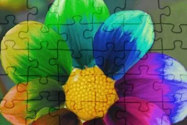 Color Flower jigsaw puzzle