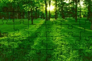 Paisaje jigsaw puzzle