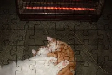 tiny and misty,  always together,  inseperable jigsaw puzzle