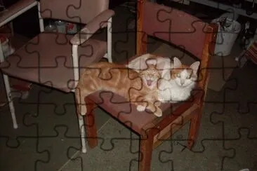 tiny and misty,  inseperable ,  as usual. jigsaw puzzle