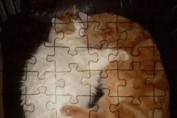 not hard to understand why they are so loved ? jigsaw puzzle