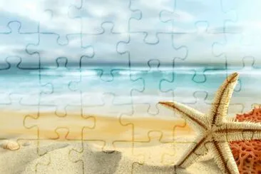 Meer mit Seestern jigsaw puzzle