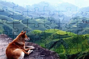 imagens jigsaw puzzle