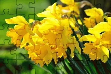 imagens jigsaw puzzle