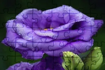 imagens jigsaw puzzle