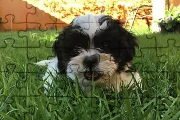Tobias
