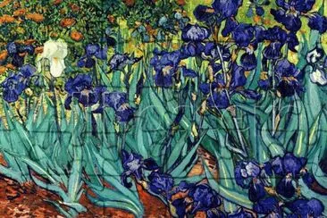 Irises Saint Remy 1889 Van Gogh