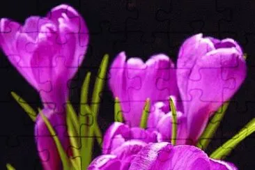 imagens jigsaw puzzle