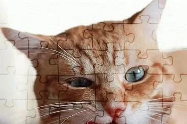 â™¥ jigsaw puzzle