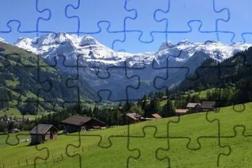 lenk